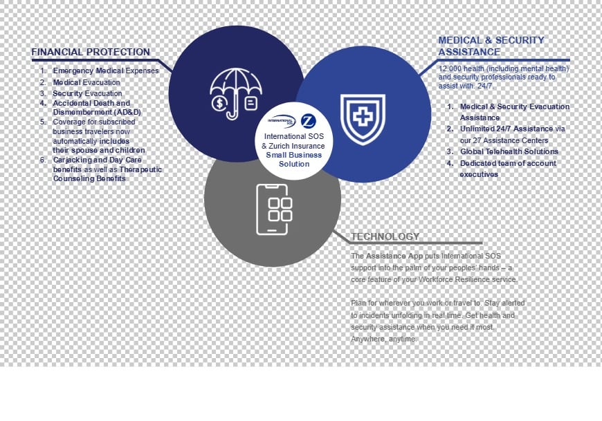 BTRM Diagram Small Business Insurance & Assistance Comprehensive Solution