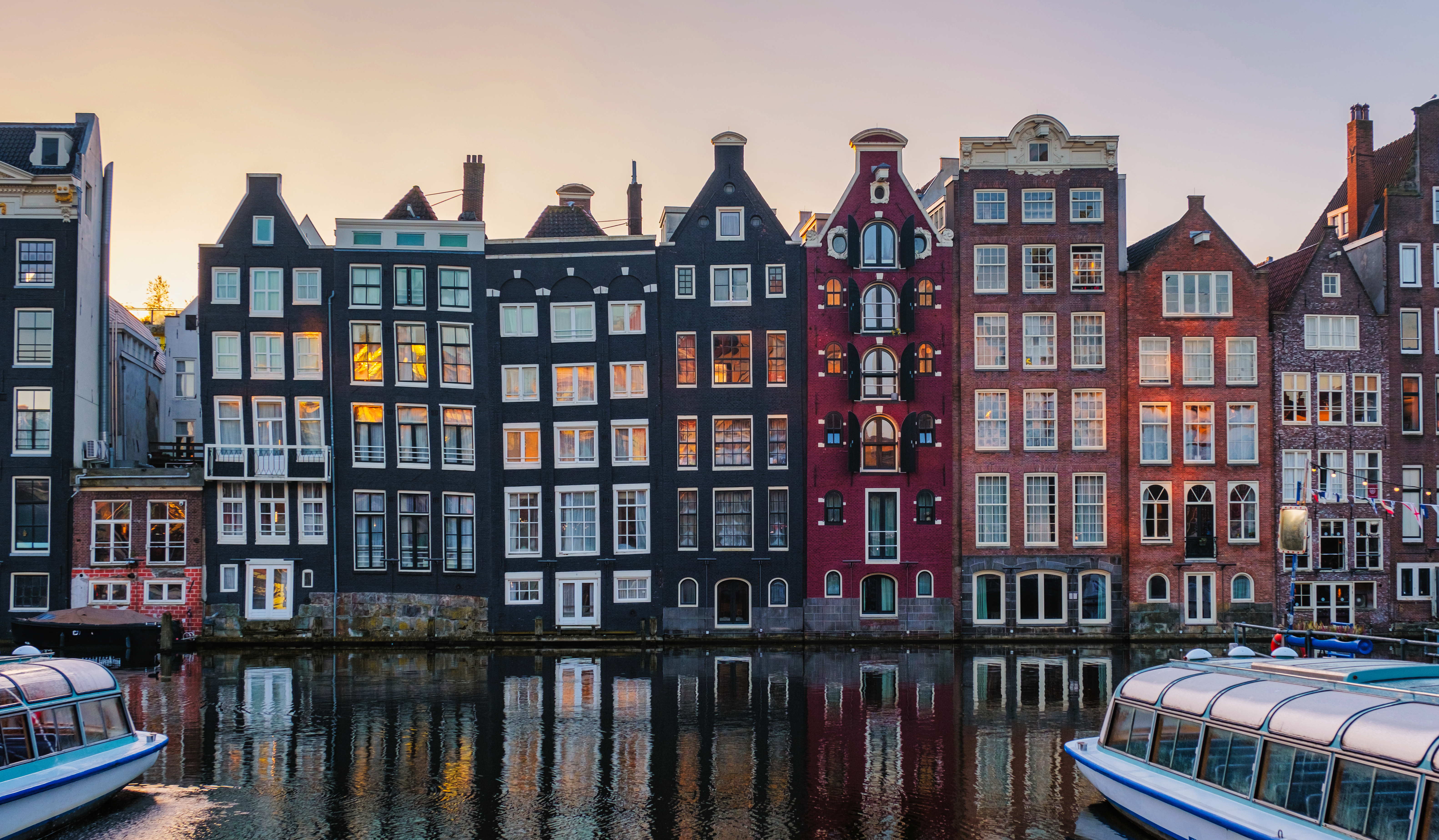 A bird in a cherry blossom tree.