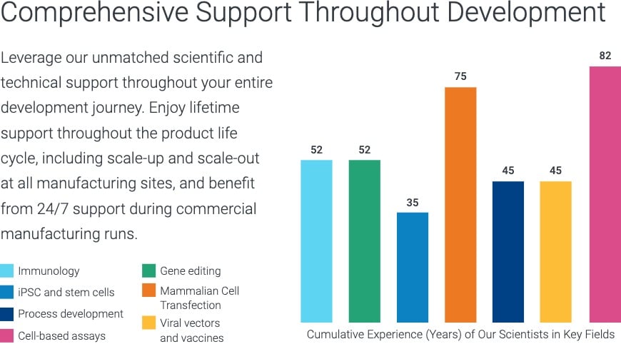 Comprehensive Support Throughout Development