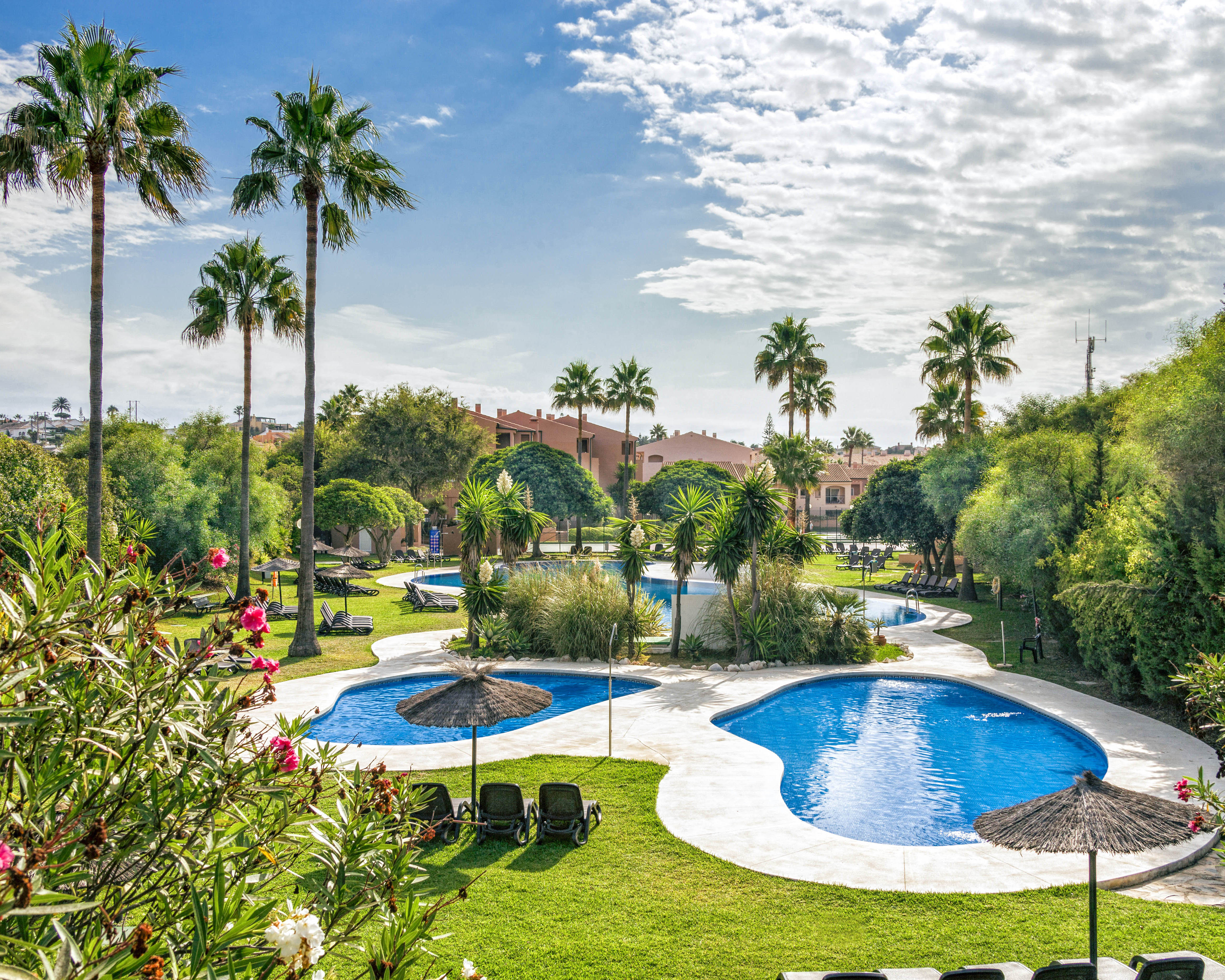 Organic-shaped pools interspersed with palm trees at a resort