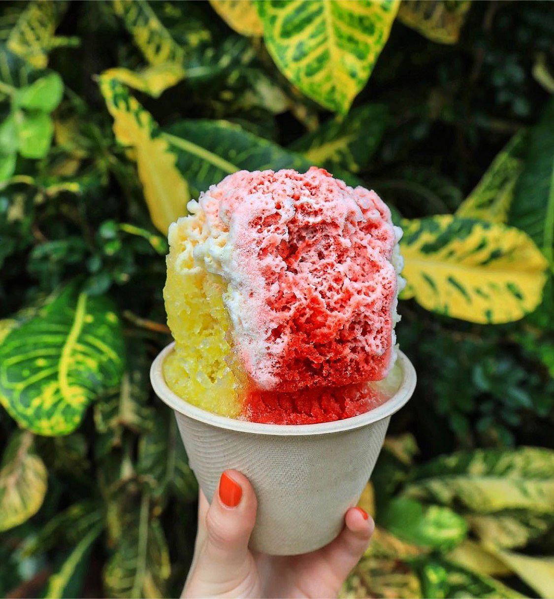 Hand holding a compostable bowl of shaved ice, colored with red and yellow flavor dye