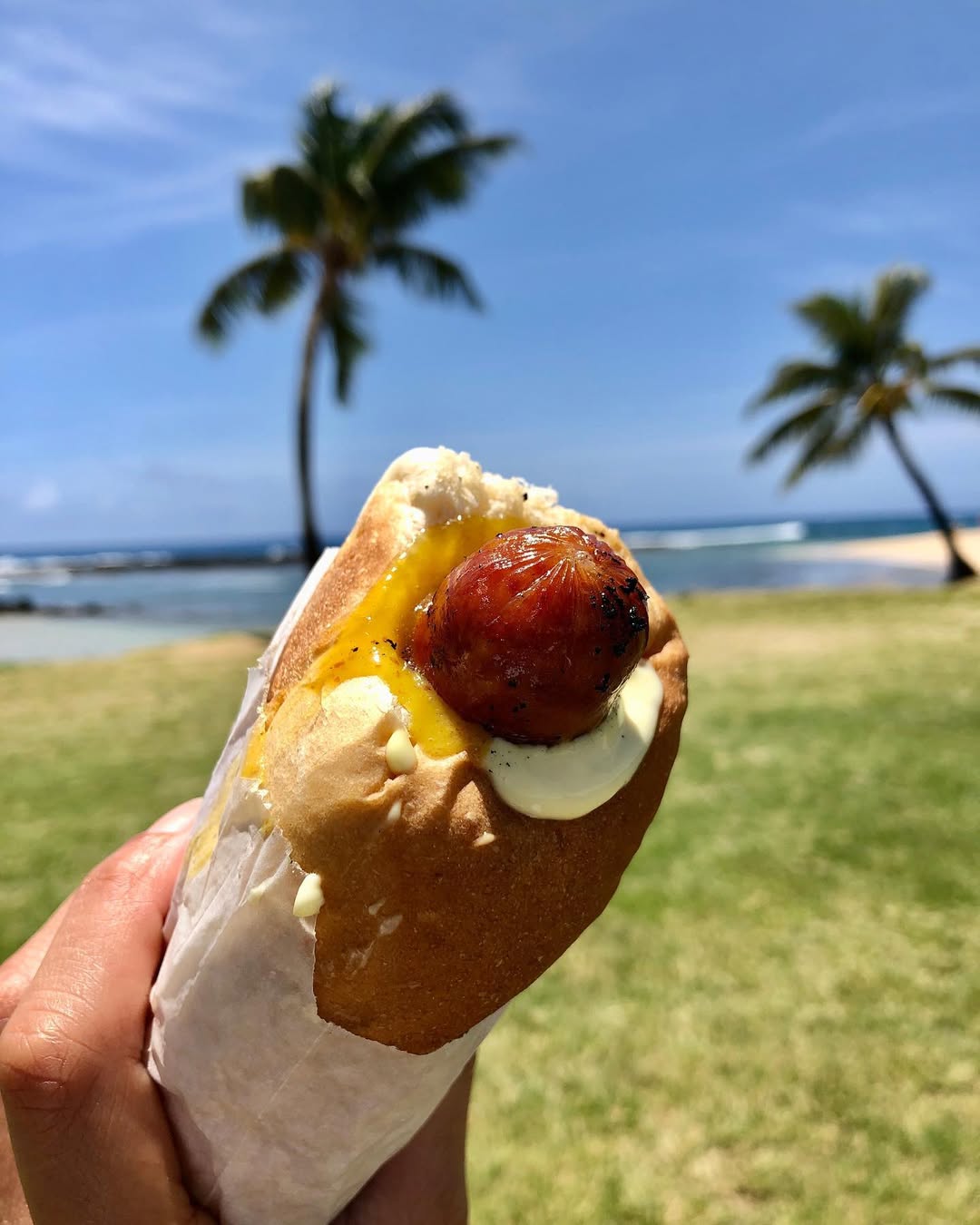 Hot dog stuffed into a large bun, with cheese and sauce overflowing from the center
