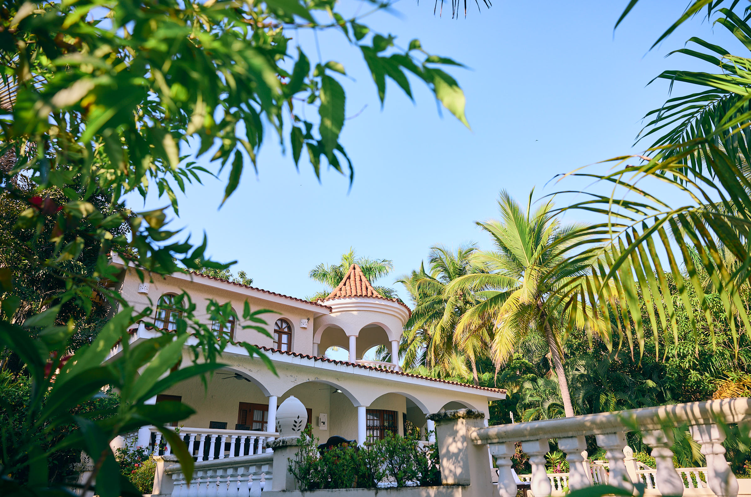 Tropical villa surrounded by palm trees