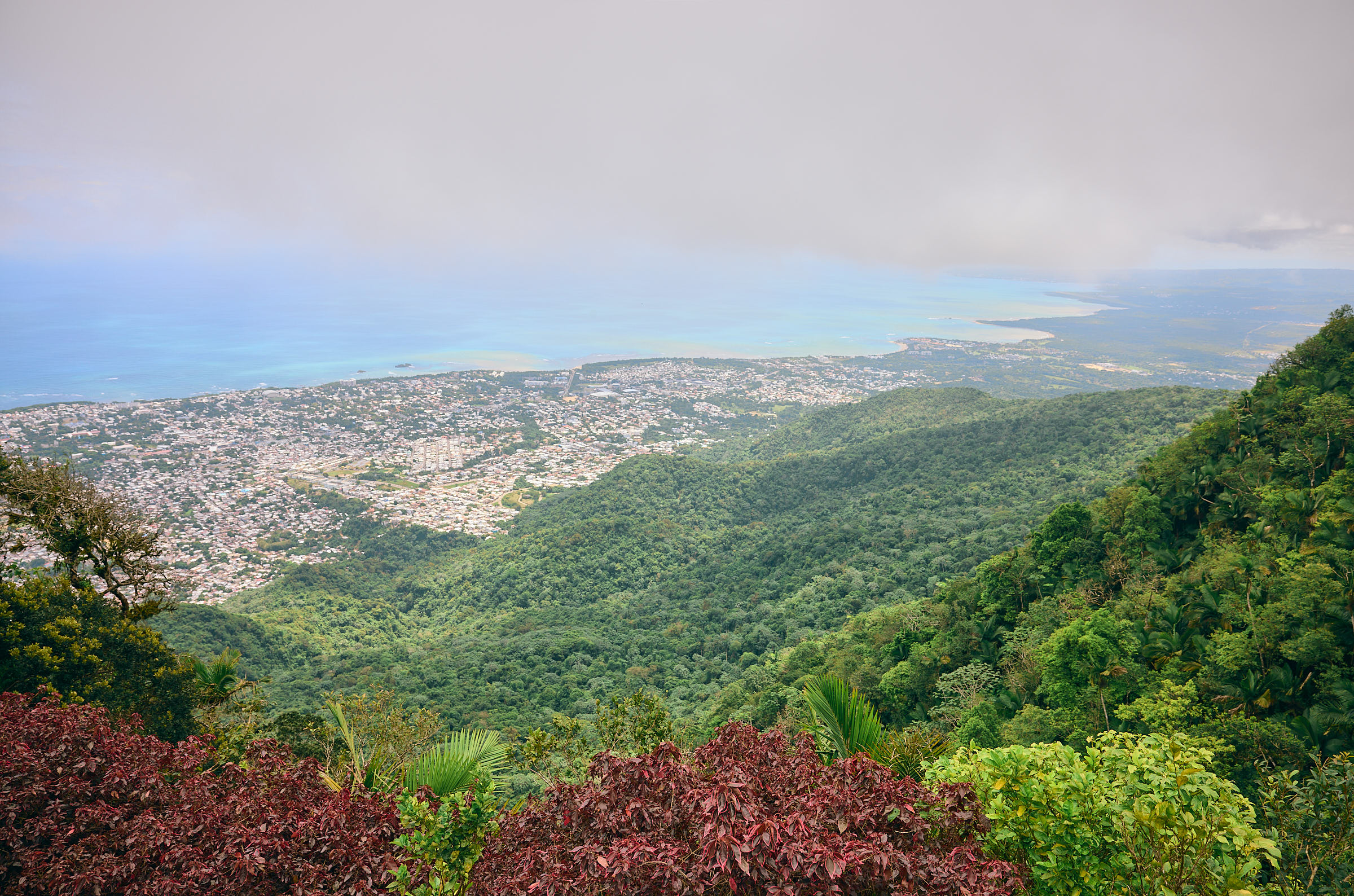 View of a coastal town from atop a lush mountain