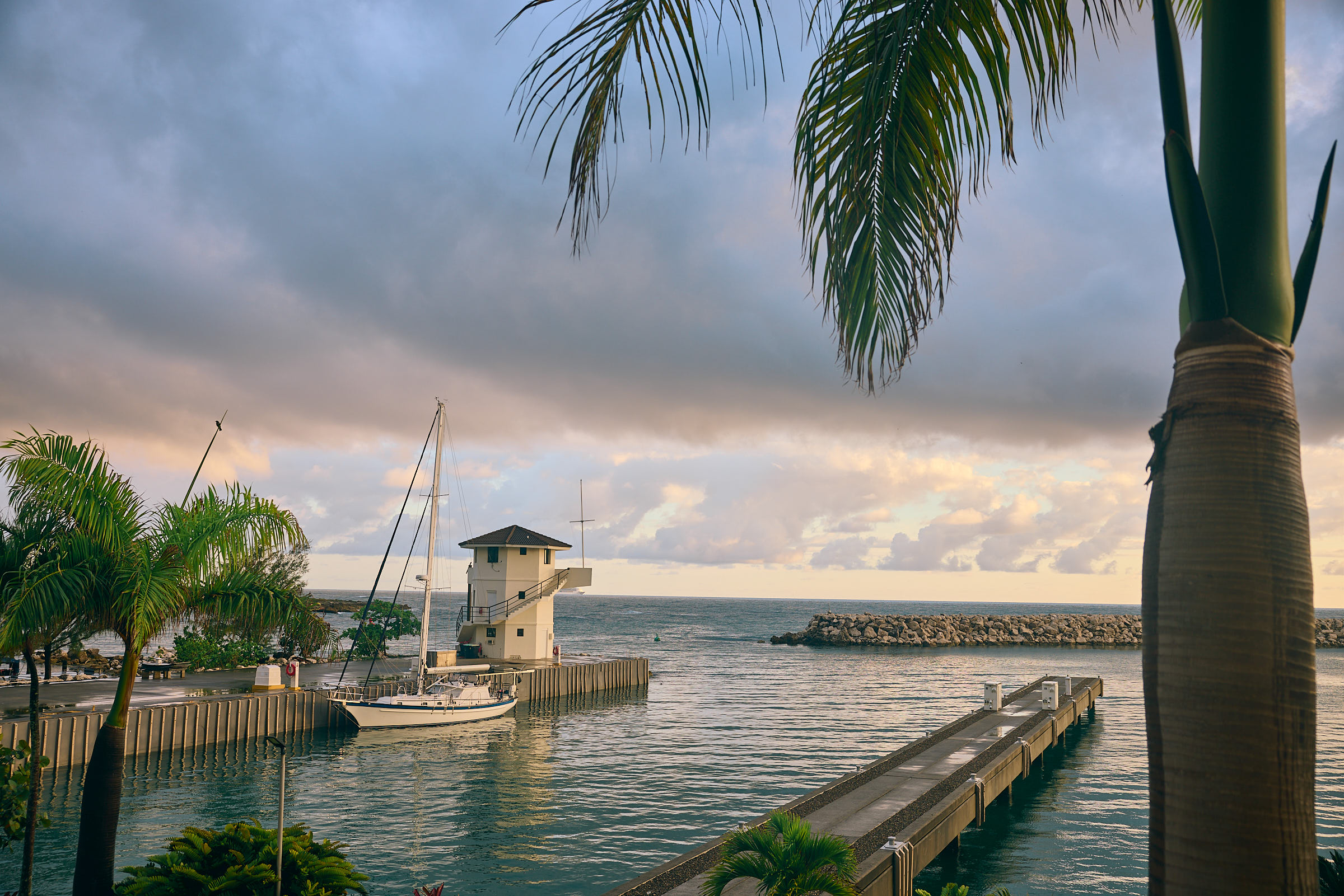 Coastal dock with a small lighthouse, framed by palm trees