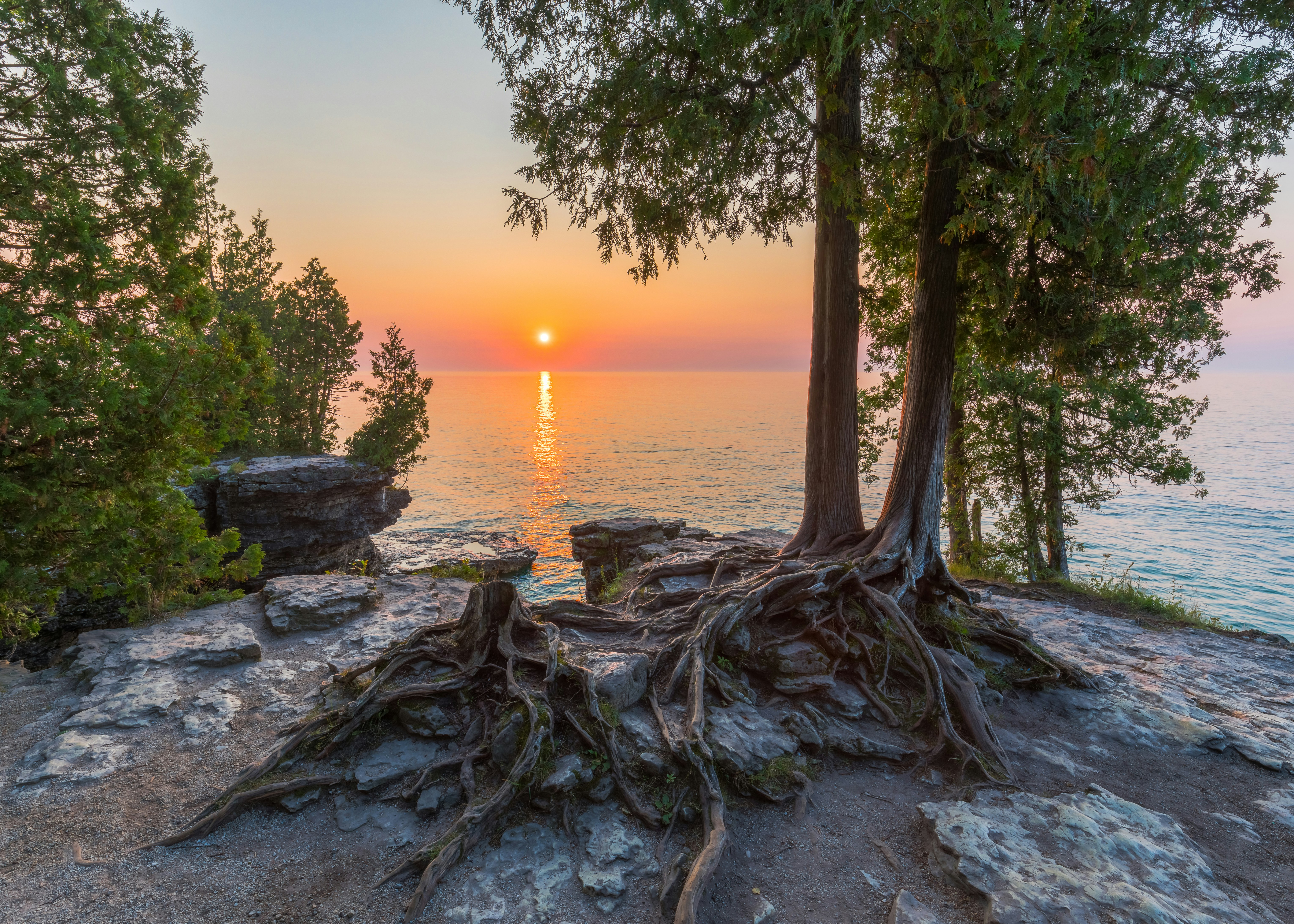 Cliff covered in tree roots at the edge of the lake at sunset in Door County, Wisconsin