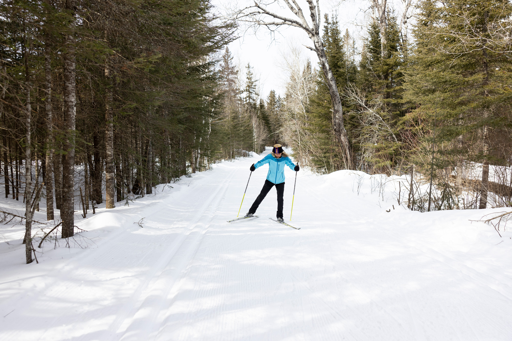 Woman skiing in the forest