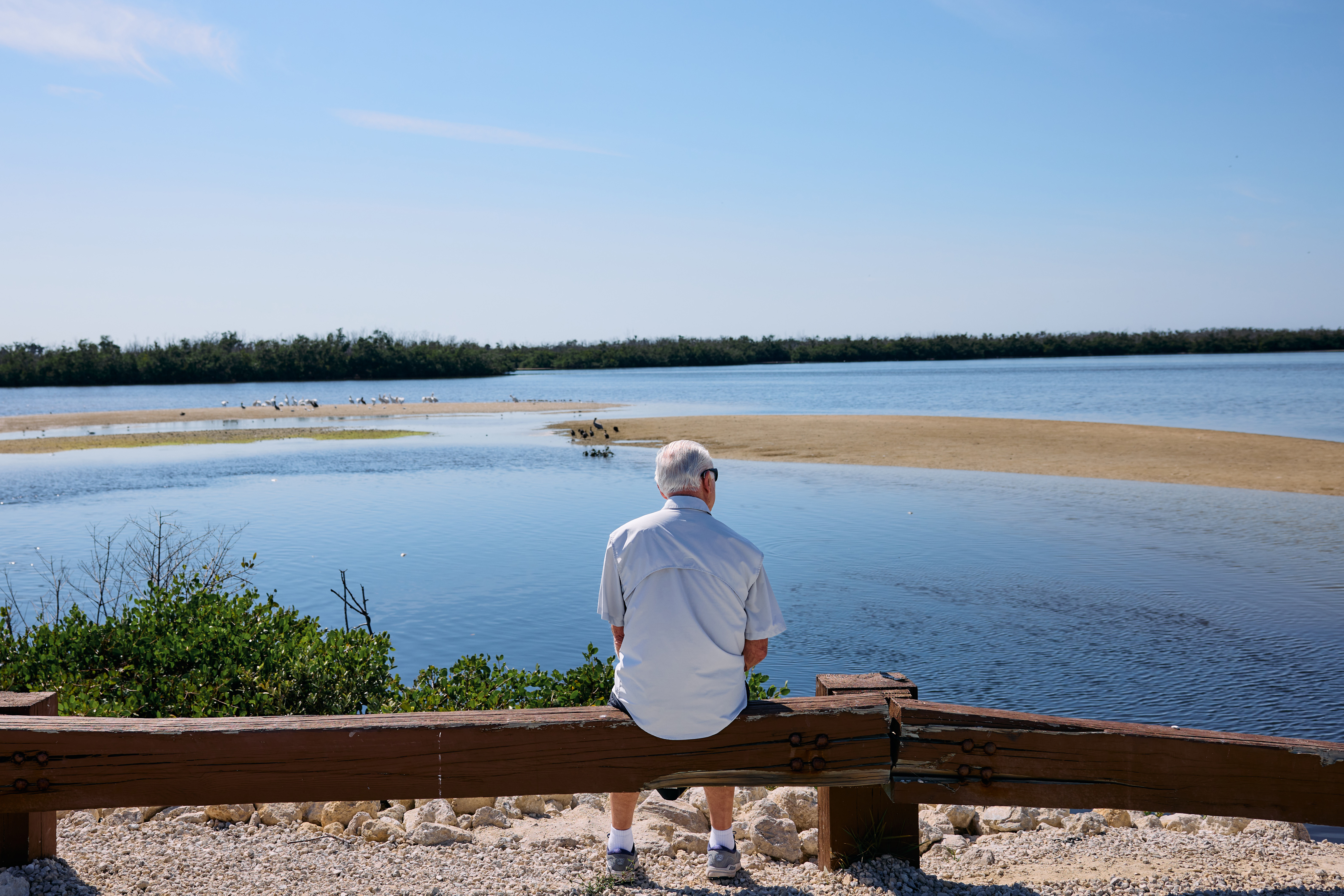 Man sitting on a wood fence, looking out at cranes on the water