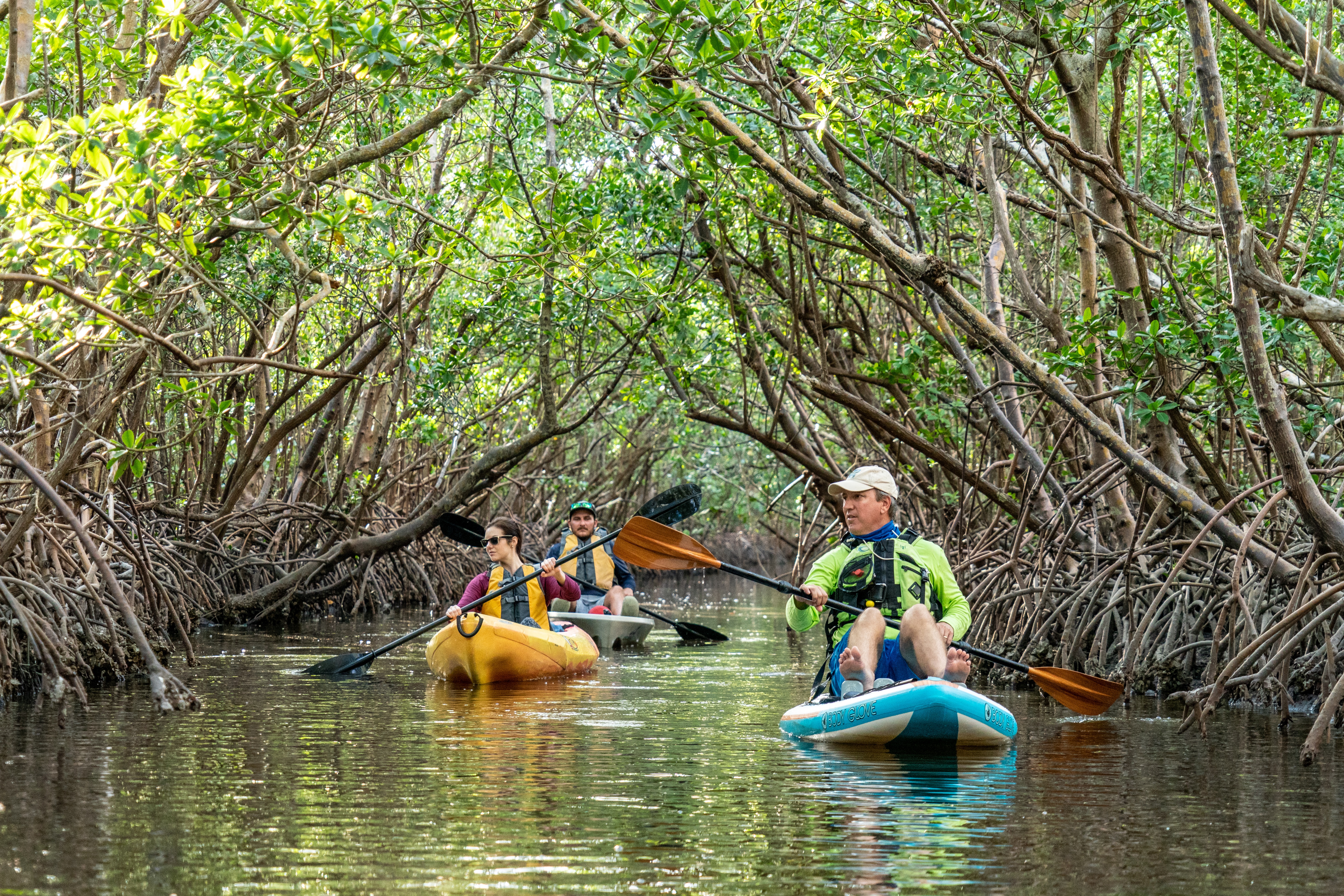 Three people kayaking in a narrow river, surrounded by mangrove trees on either side
