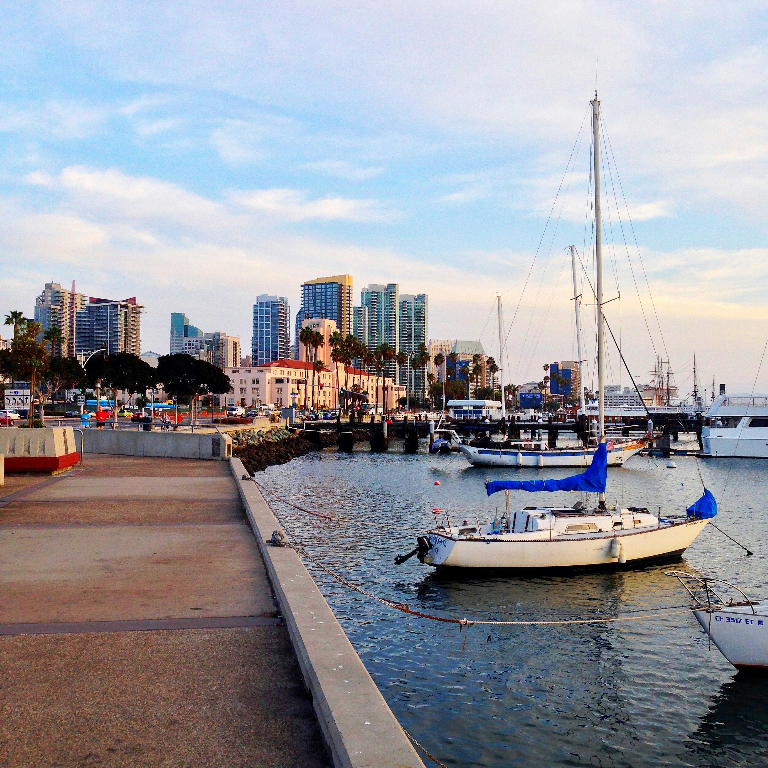 Boats in the harbor, along the edge of the city in San Diego