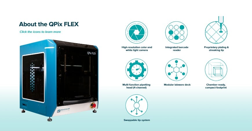 Ceros Experience QPix FLEX-New
