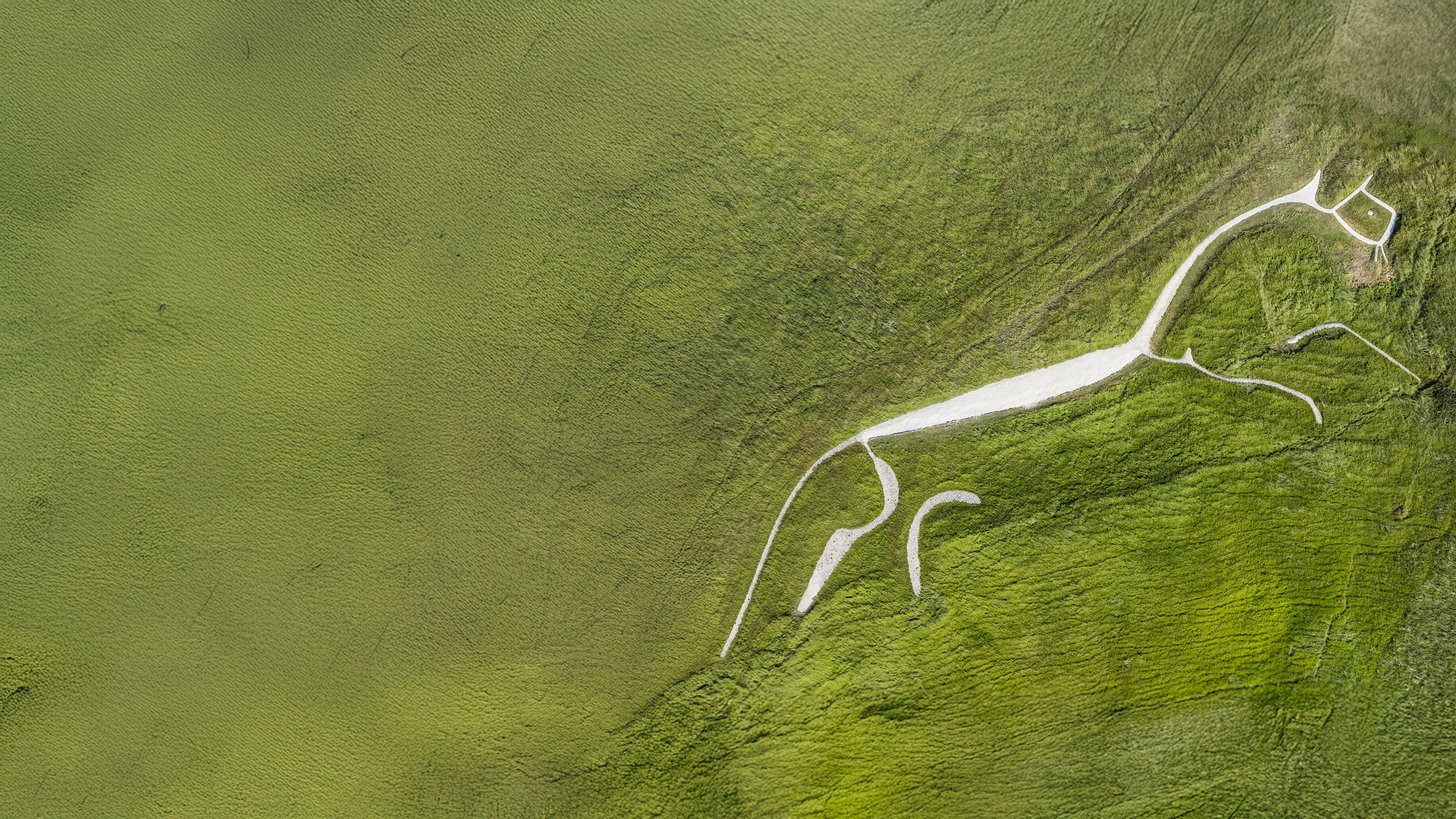 Aerial view of the figure of a  white horse carved into the grass on a hillside