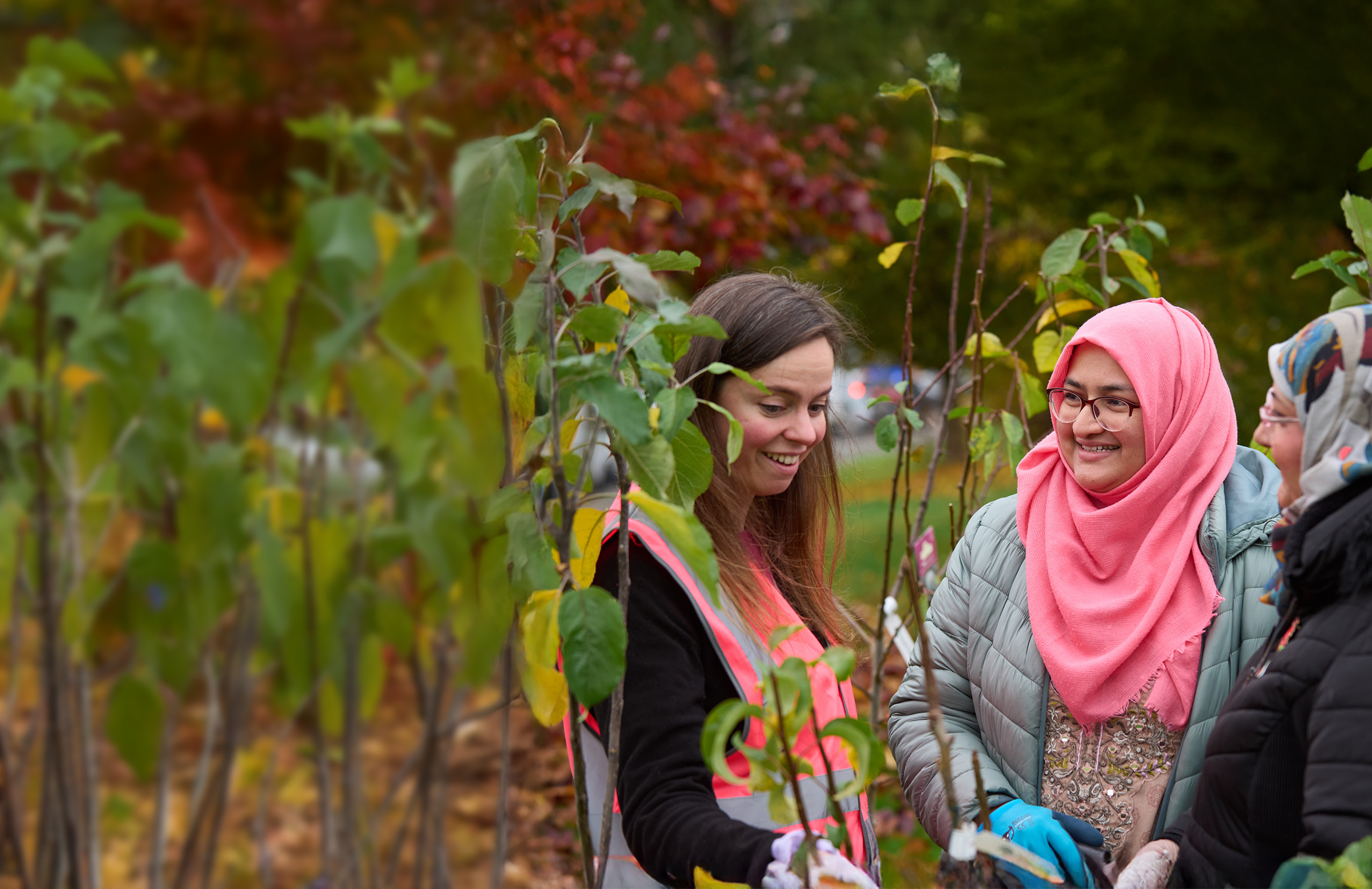 Two people are talking to a National Trust person surrounded by tree saplings