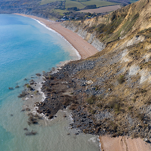 A landslip on the coast at Thorncombe Beacon