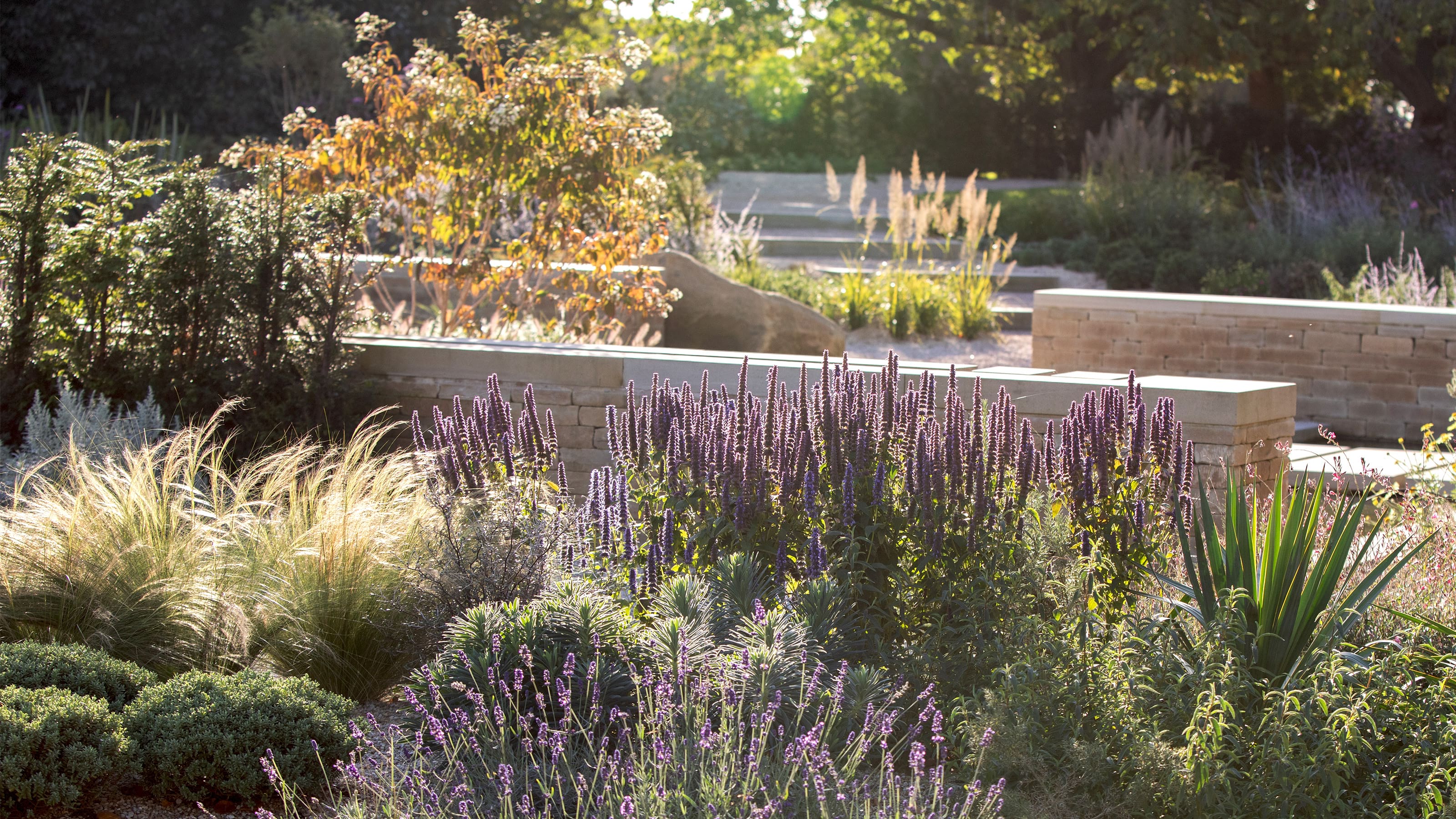 The new Mediterranean Garden by award-winning garden designer Andy Sturgeon at Beningbrough, North Yorkshire