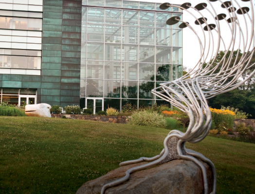The NEB Campus