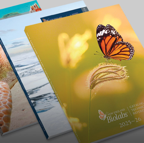 Marketing Materials