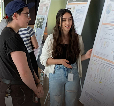 Student Internships