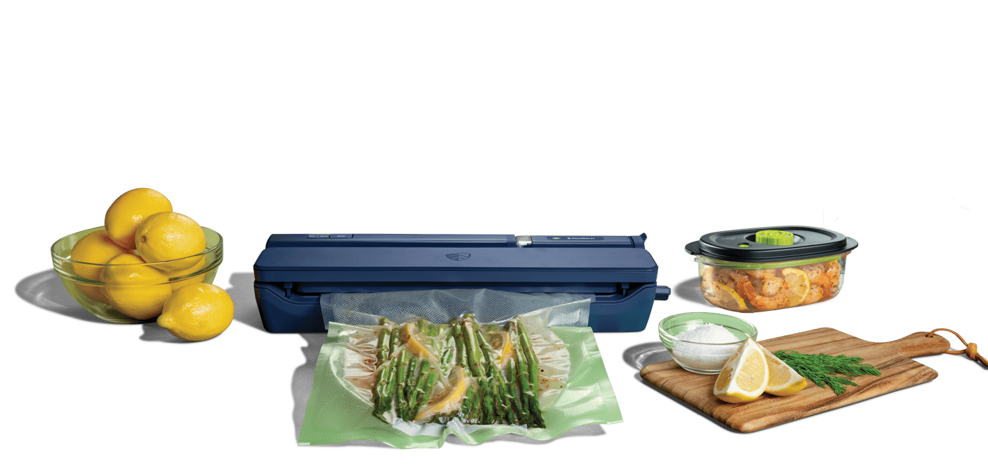 Handheld+ Countertop & Handheld Vacuum Sealer System | FoodSaver