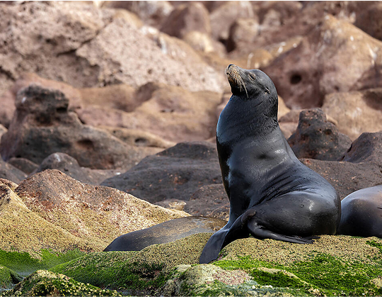 Abstract close-up view of modern aluminum ventilated facade of triangles