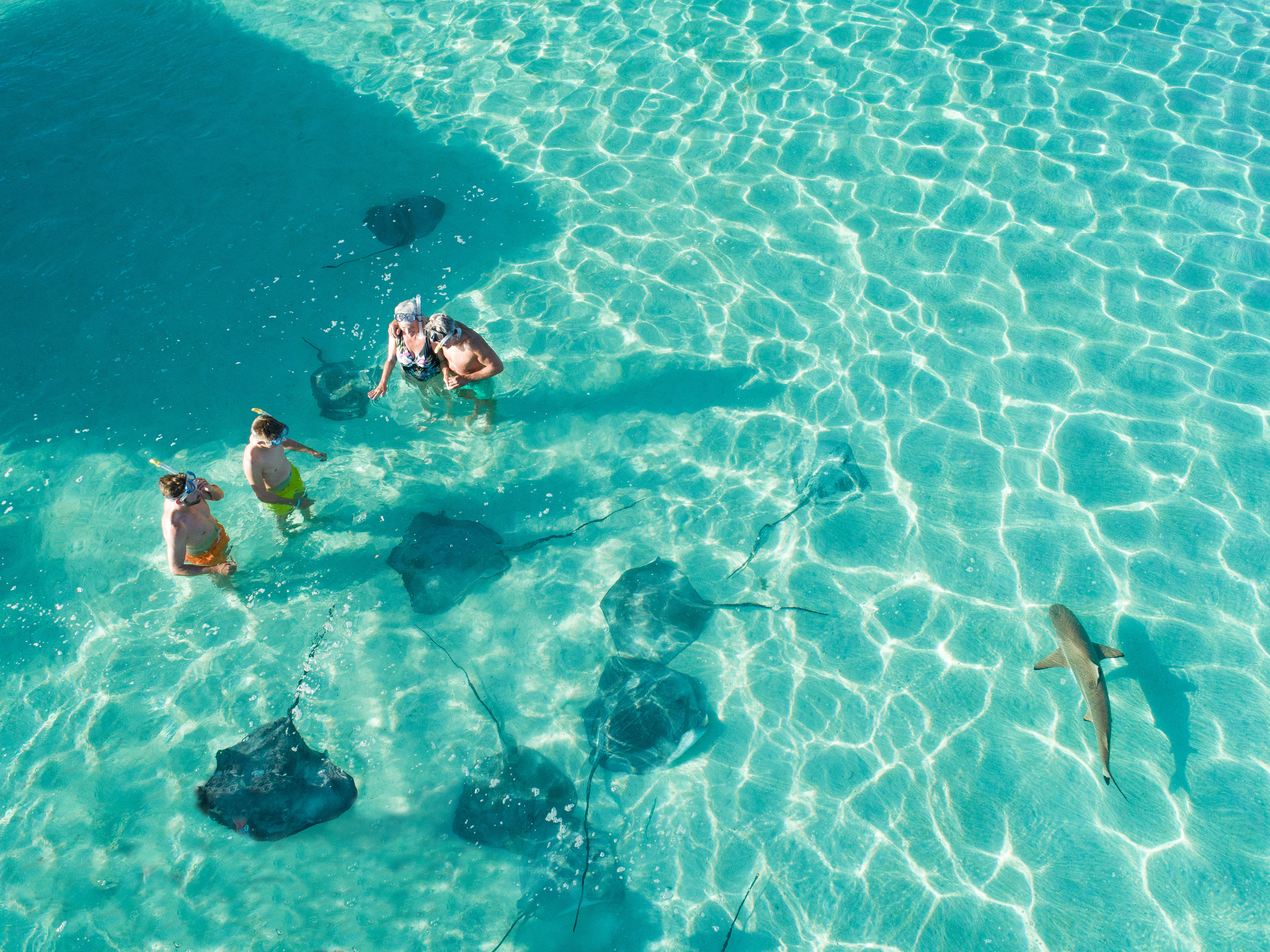 Curvy lines of public Library Oodi in Helsin