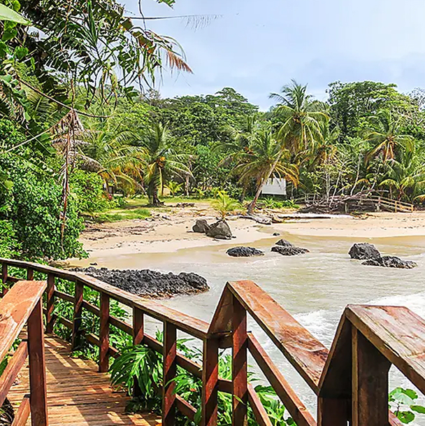 Curvy lines of public Library Oodi in Helsin