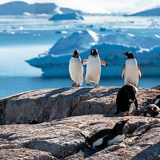 Curvy lines of public Library Oodi in Helsin