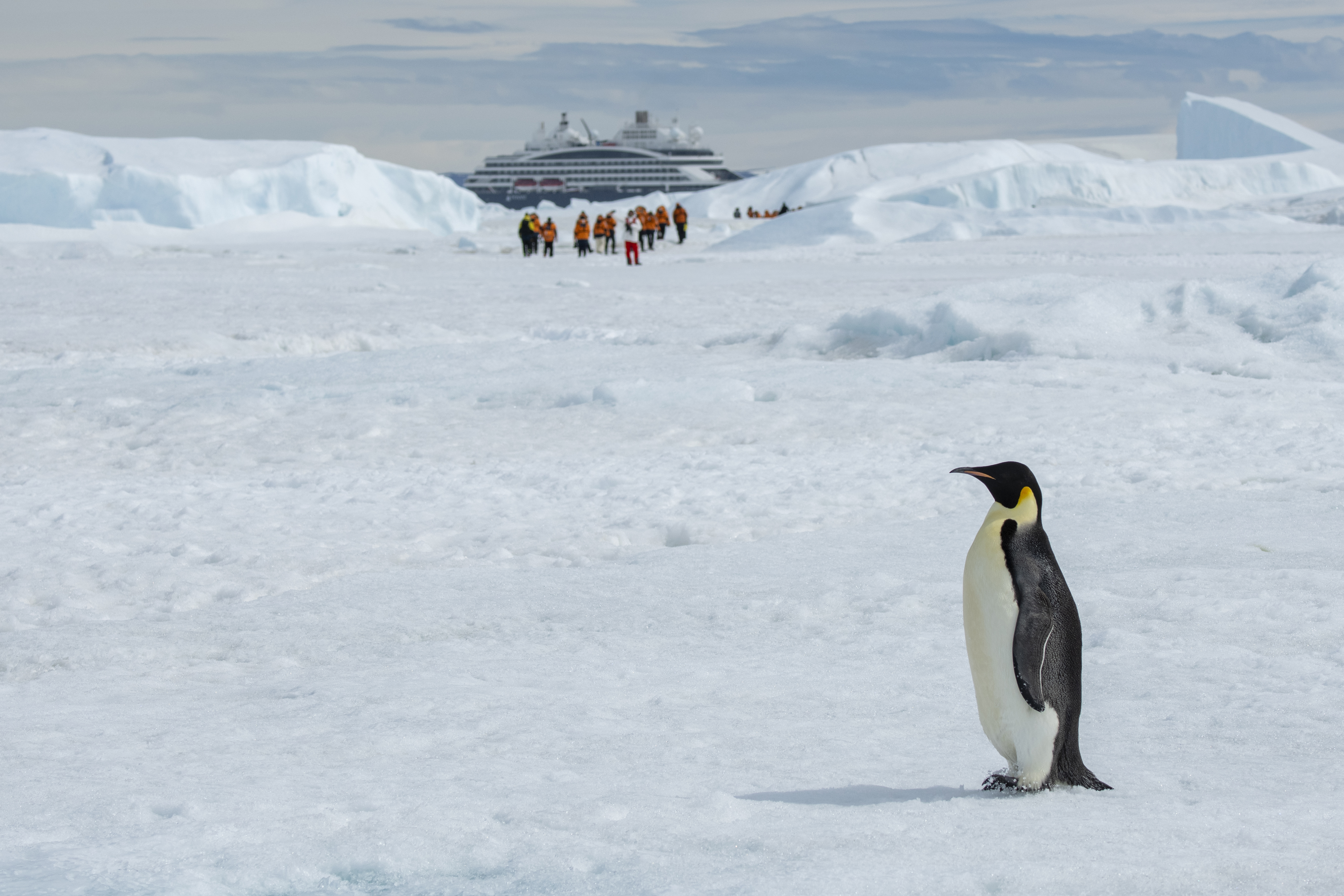 Curvy lines of public Library Oodi in Helsin