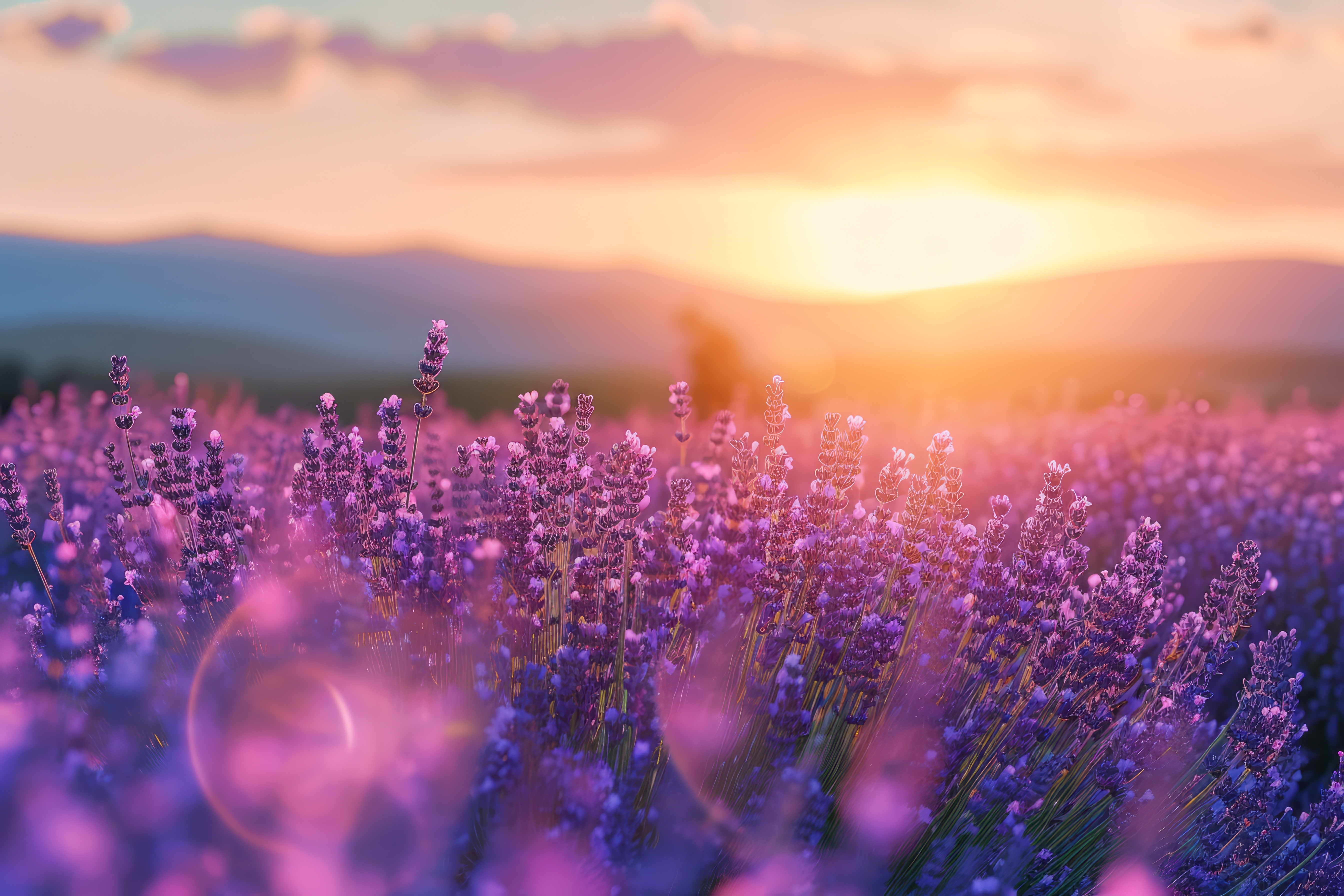 Young brunette woman and a senior lady using their devices while sharing a desk and keeping social distance