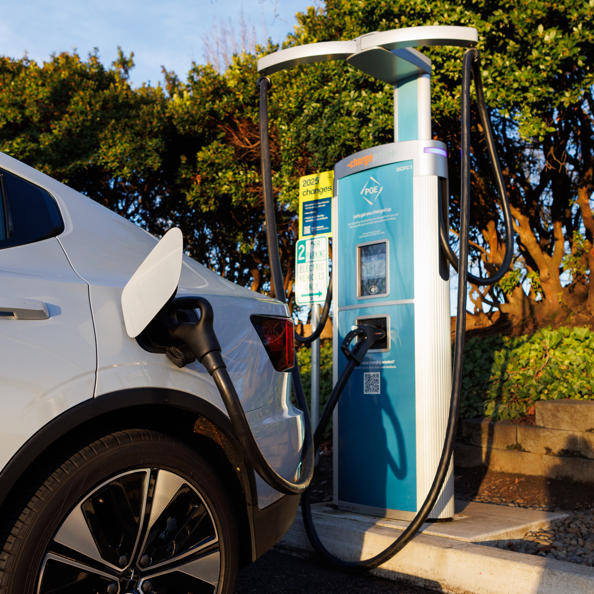 Electric vehicle plugged into a PGE EV charger, charging amid lush greenery. 