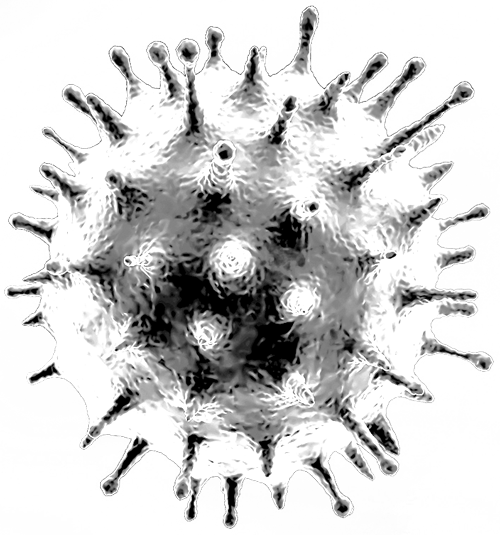 virus