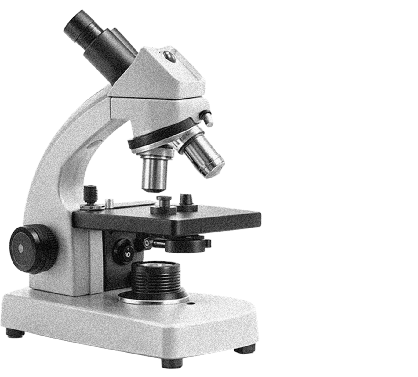 Microscope Diagram No Labels