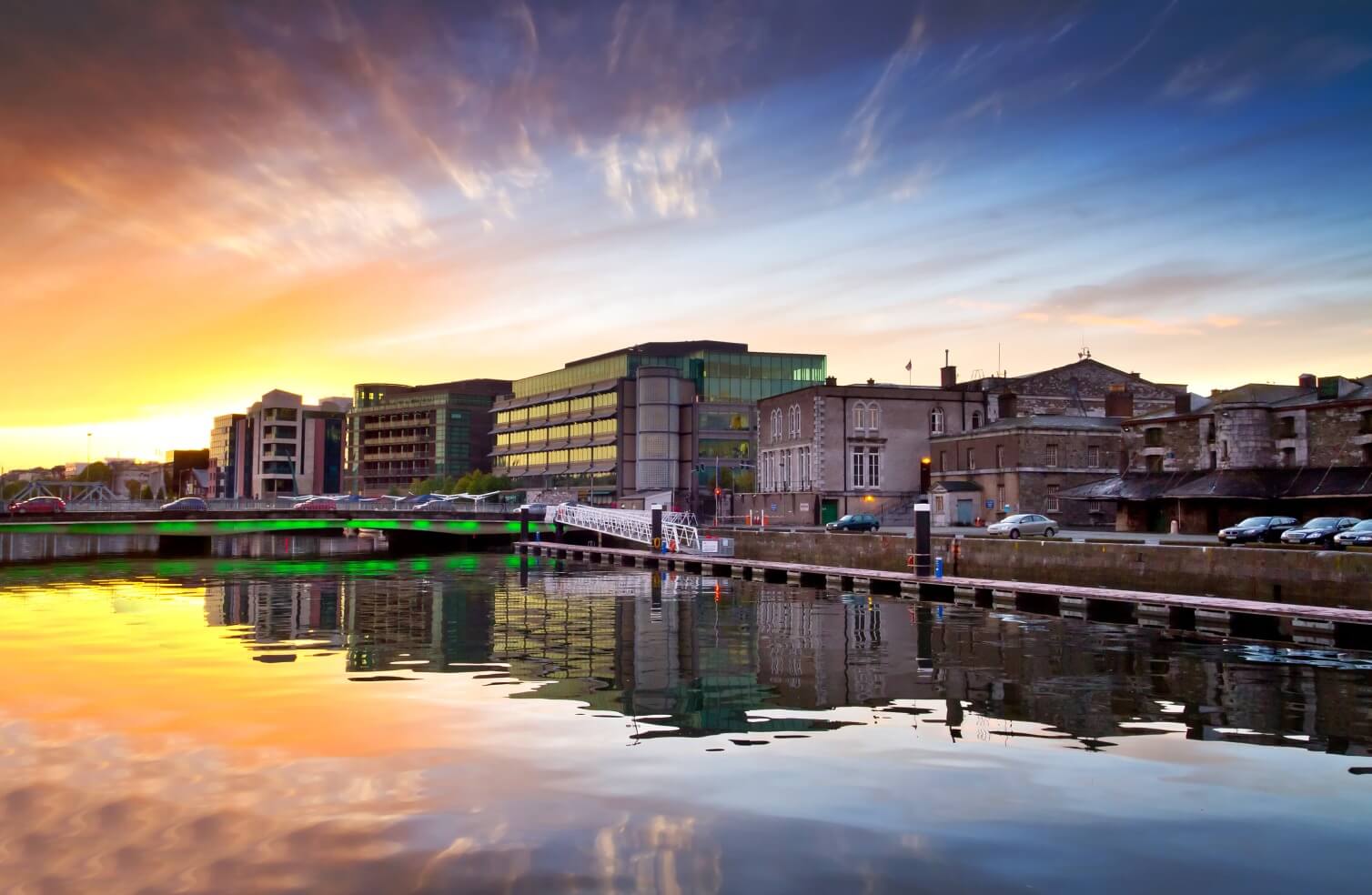 Takeda Grange Castle Dublin API facility 1