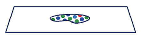 illustration of same slide processed to detect RNA and then protein