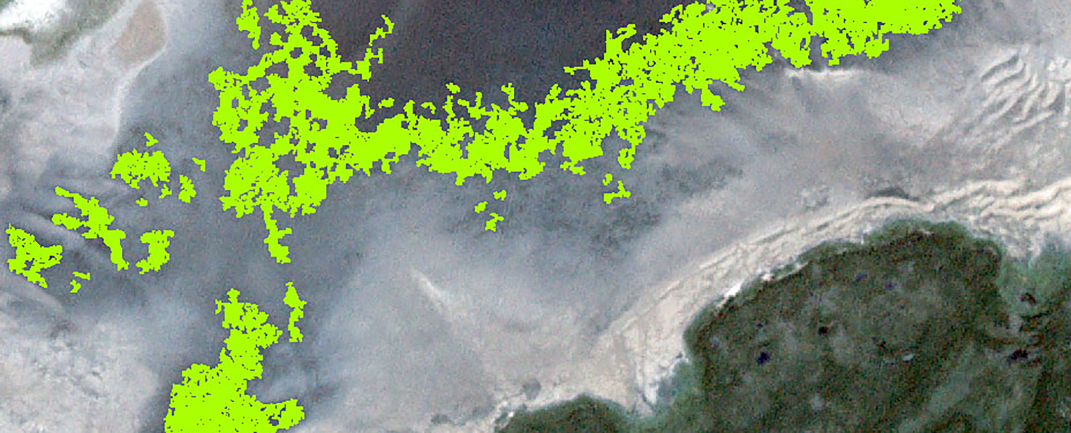 Image of several electric vehicle charging stations in a parking placed in the grass along the curb.