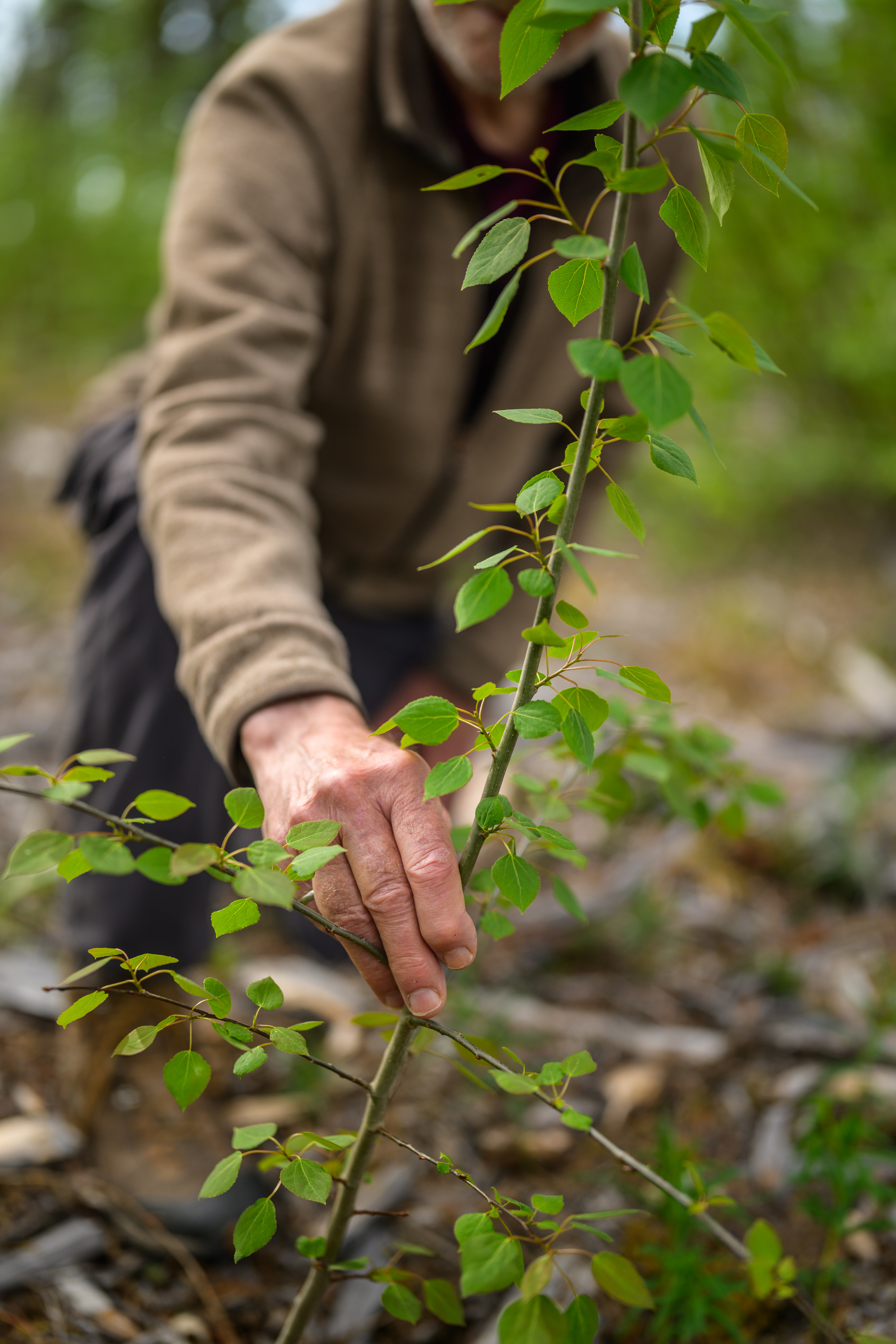 Portrait of Stuart Clark and Whitehorse nature