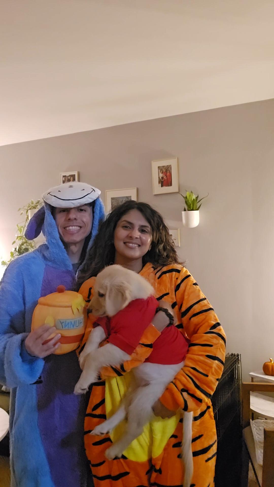 A man dressed as Eeyore, a woman dressed as Tigger, and a puppy dressed up as Poo from Winnie the Poo. 