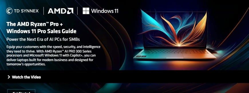 AMD - Windows 11 Solutions Guide