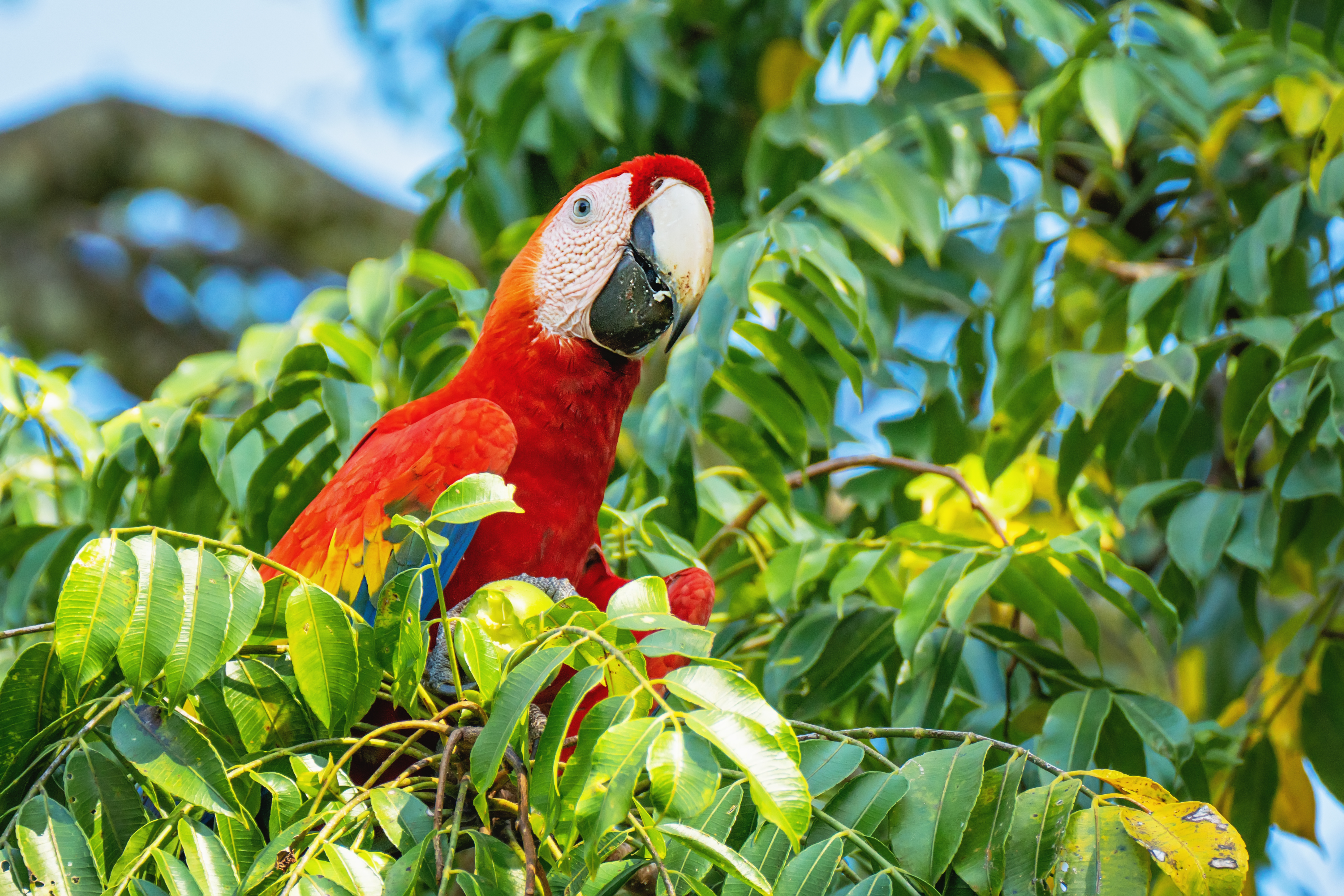 Group Of Businesswomen Collaborating In Creative Meeting Around Table In Modern Office