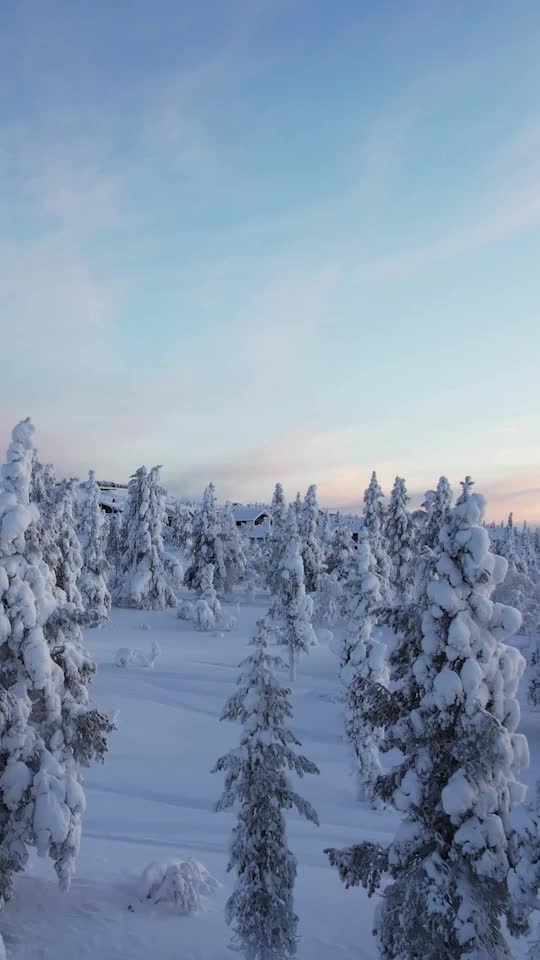 Finland: An oasis of happiness, wellness and culture | Travelzoo