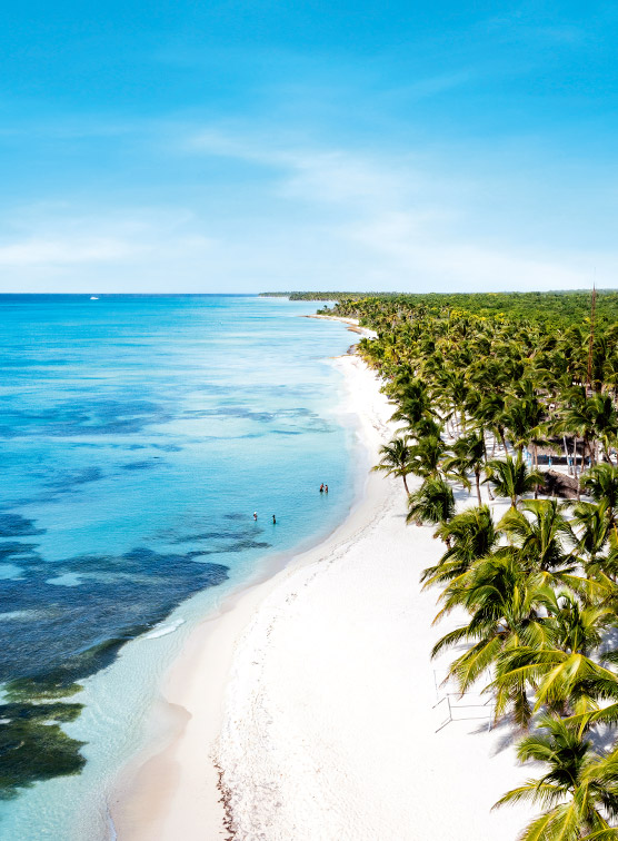 A sandy beach lined with palm trees and turquoise sea.