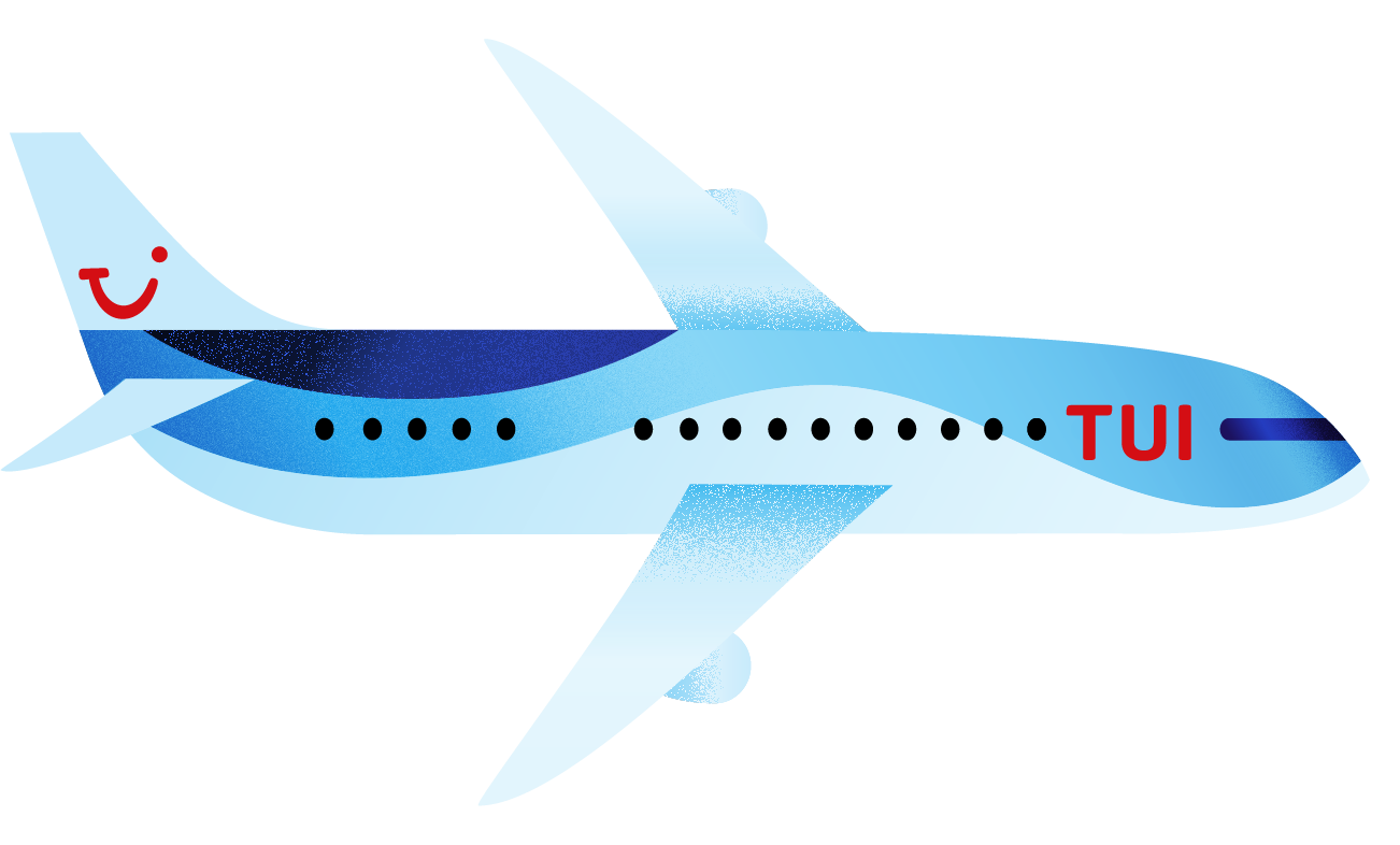 Illustration of a TUI plane. 