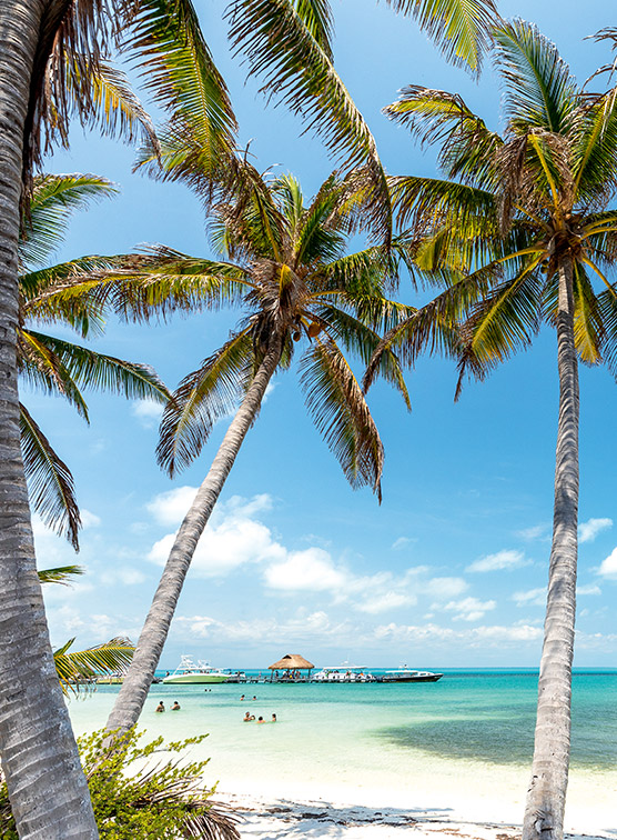 A beach in Mexico