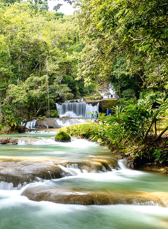 Waterfalls in the Jamaican forest. 