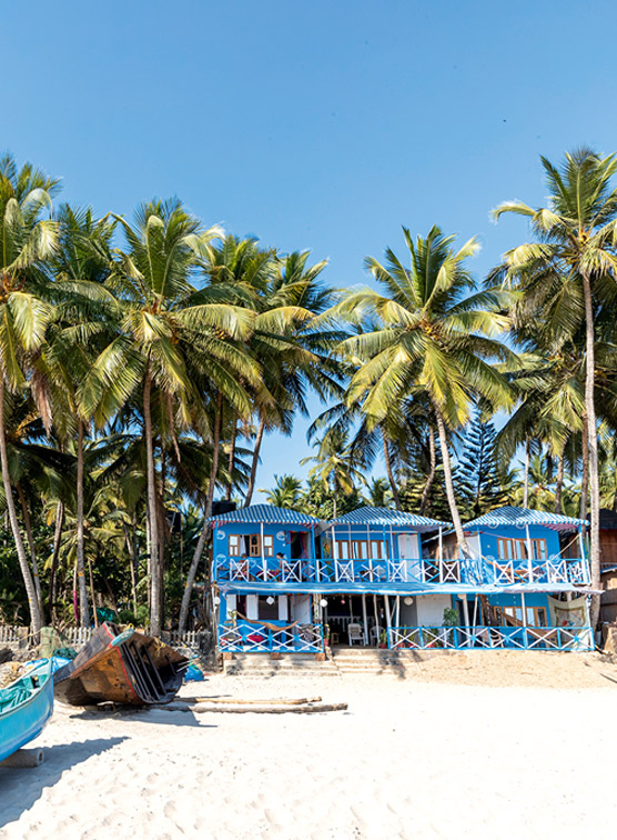 A beach with palm trees and blue building in Goa.