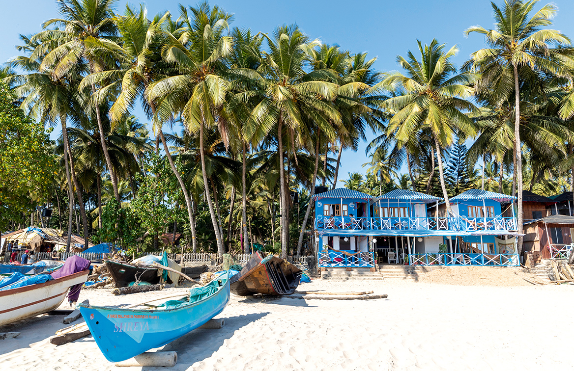 A beach lined with palm trees and canoes.