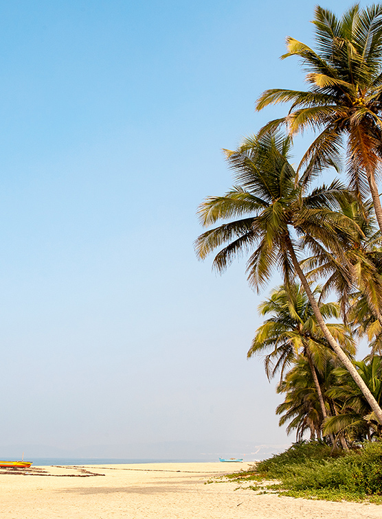 A beach with palm trees and blue building in Goa.