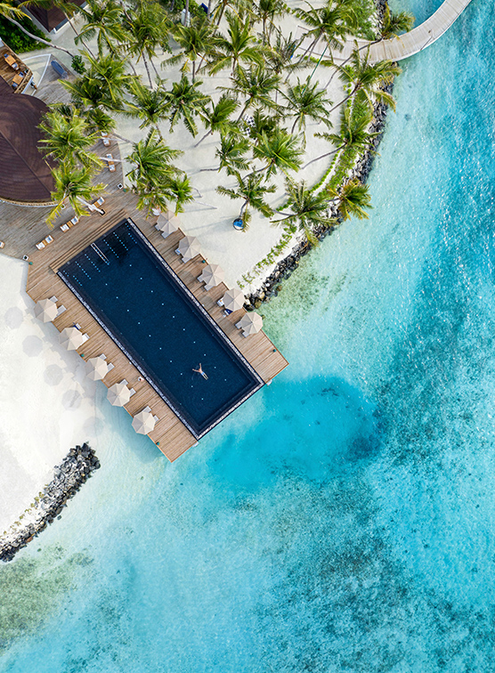 A beach side infinity pool from above.